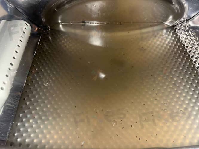 相關相片