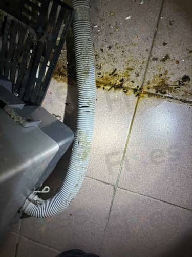 相關相片