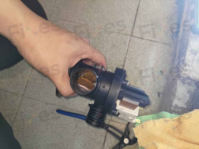 相關相片