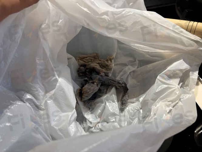 相關相片