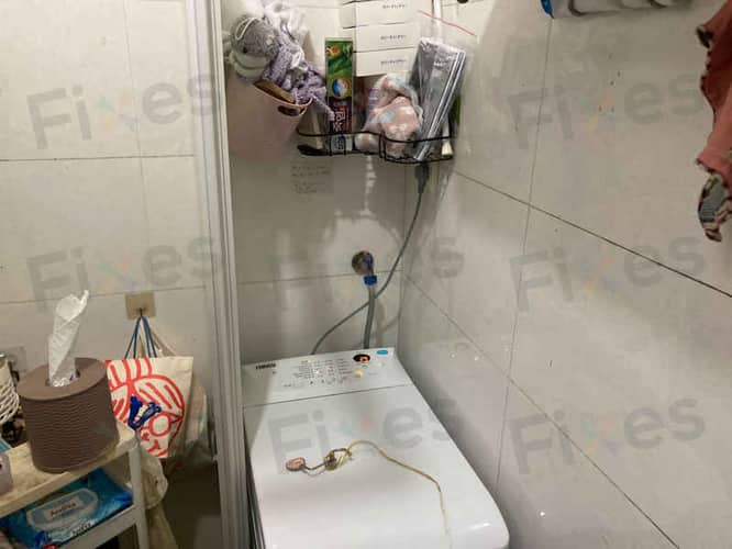 相關相片