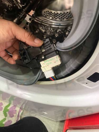相關相片