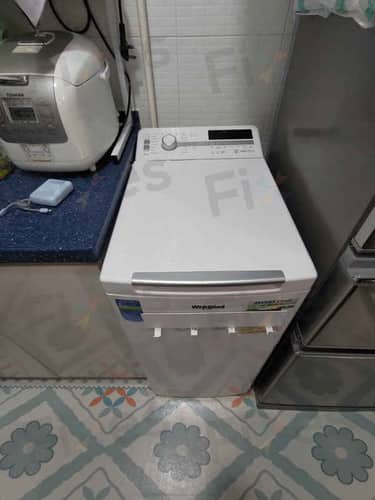 相關相片