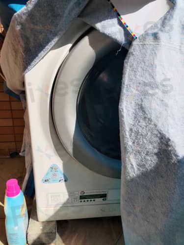 相關相片