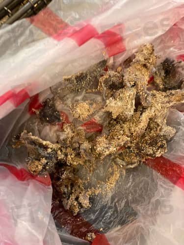 相關相片
