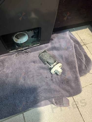 相關相片
