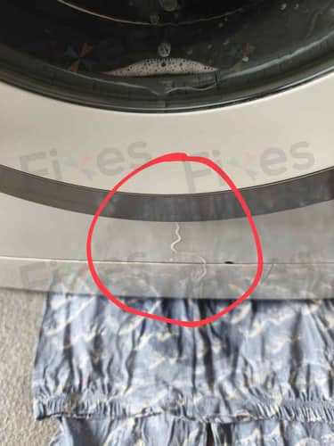 相關相片