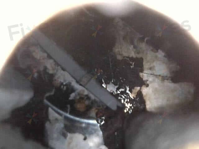 相關相片