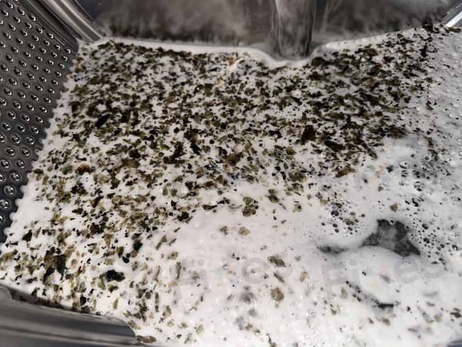 相關相片