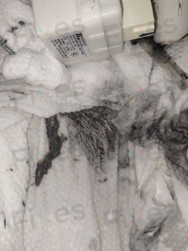 相關相片