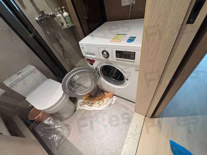 相關相片