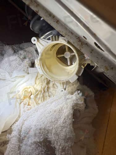 相關相片