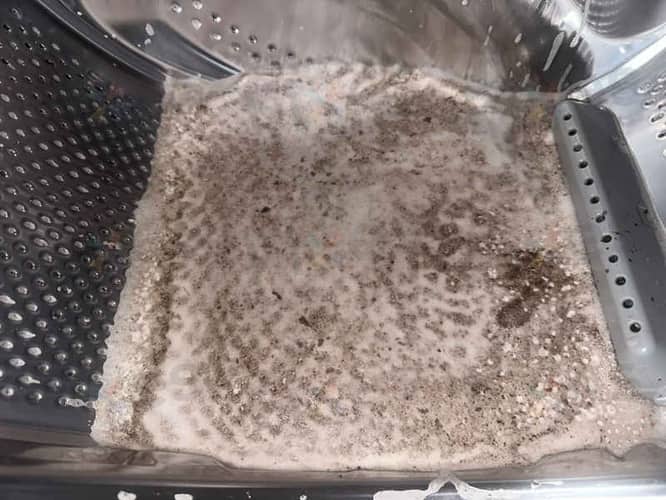 相關相片