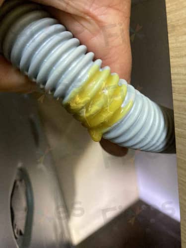 相關相片