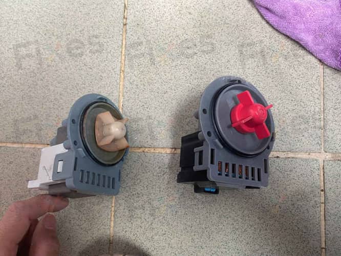 相關相片