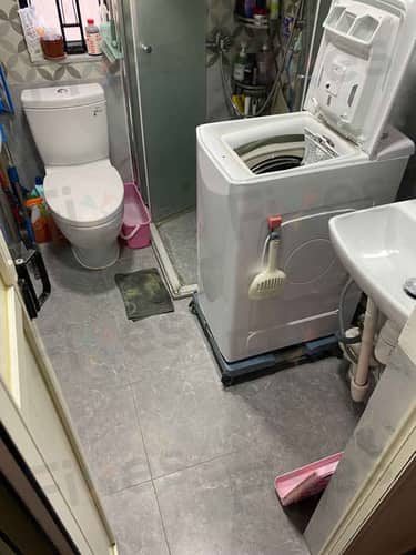 相關相片