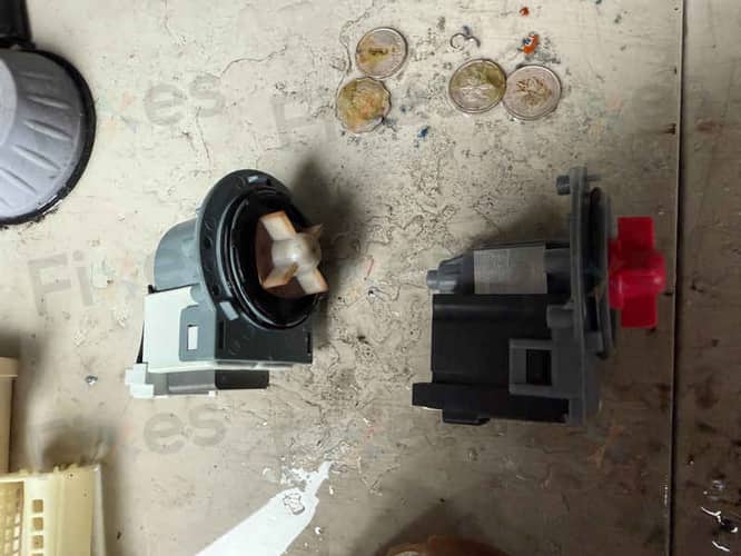相關相片