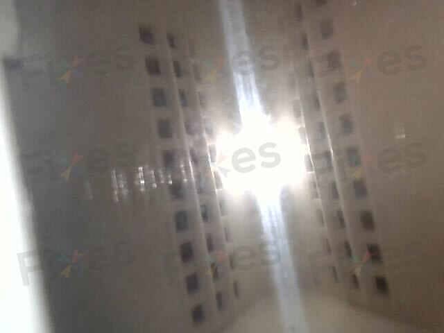 相關相片