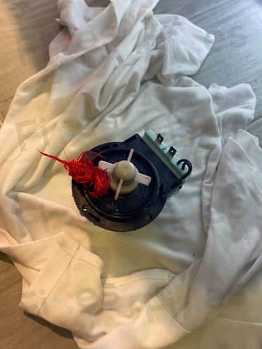 相關相片