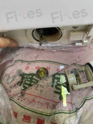 相關相片