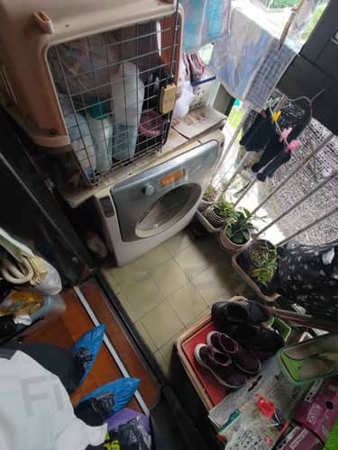 相關相片