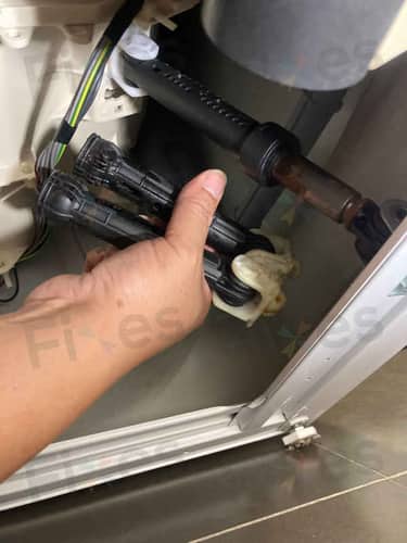 相關相片