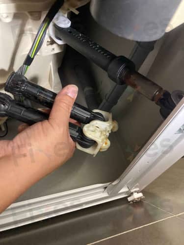 相關相片