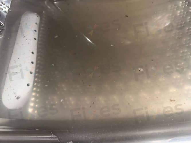 相關相片