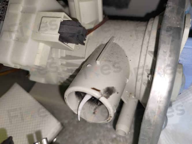 相關相片