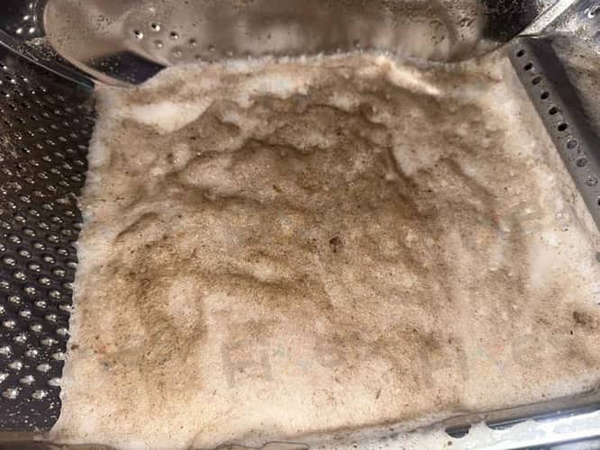 相關相片