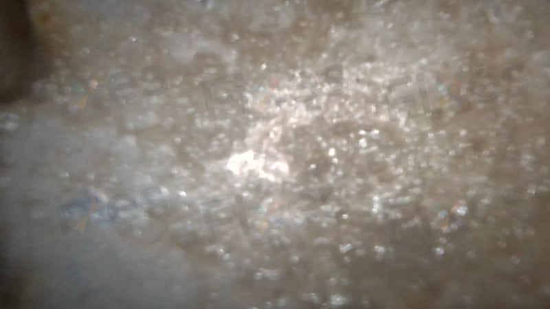 相關相片