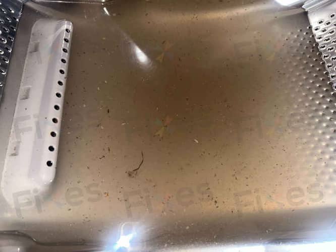 相關相片
