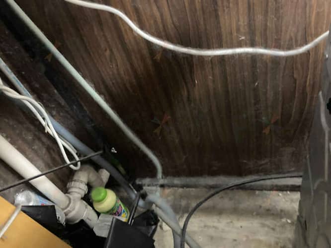 相關相片