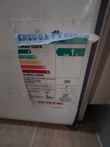 相關相片