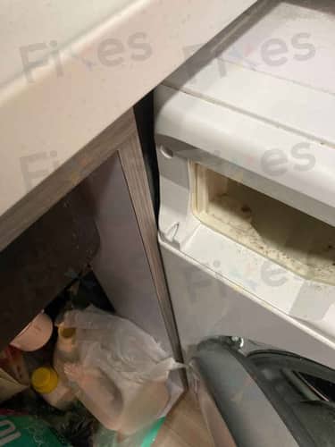 相關相片