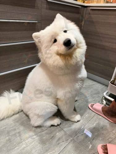 相關相片