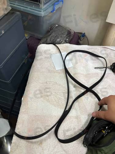 相關相片