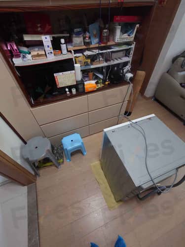 相關相片