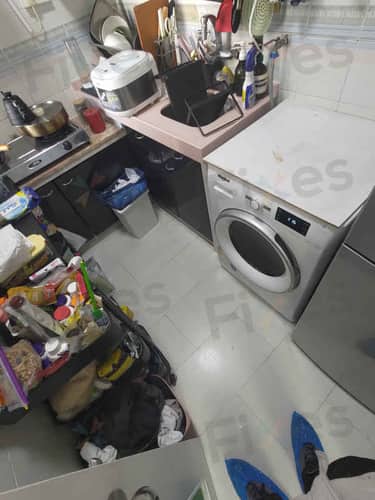 相關相片