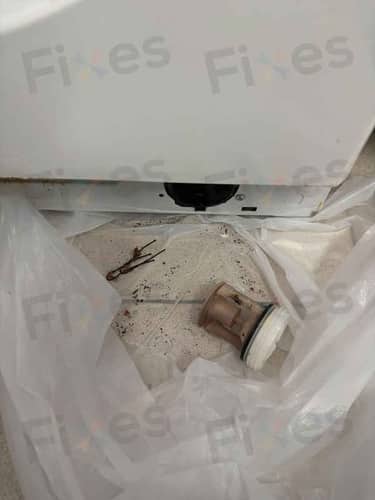 相關相片