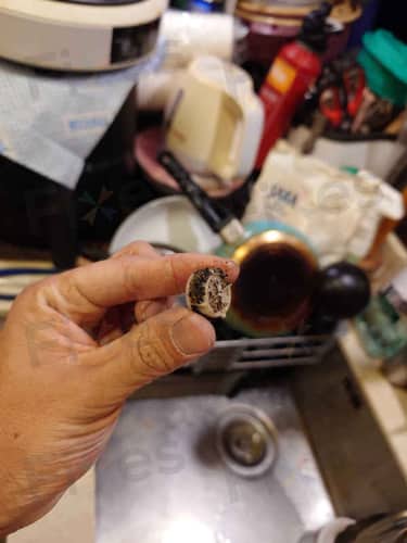 相關相片