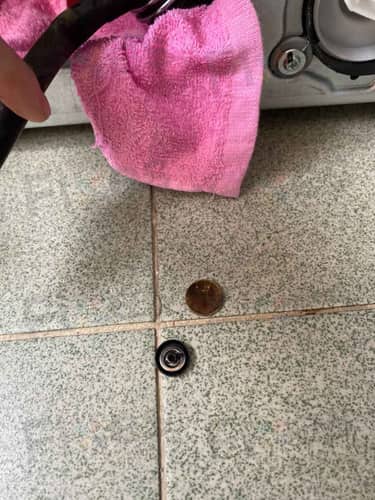 相關相片