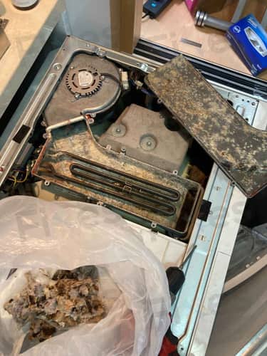 相關相片