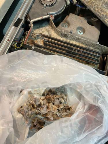 相關相片