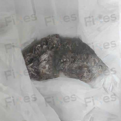 相關相片