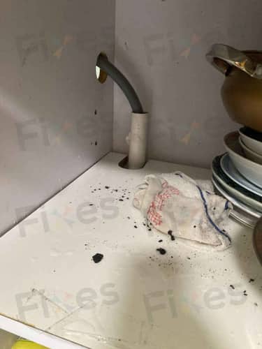 相關相片