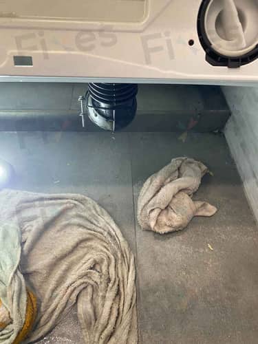 相關相片