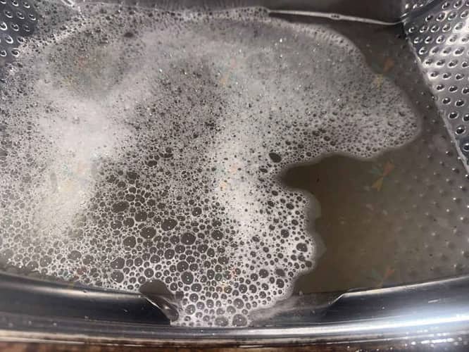 相關相片