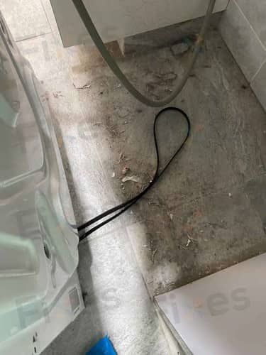 相關相片