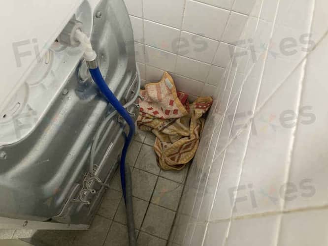 相關相片